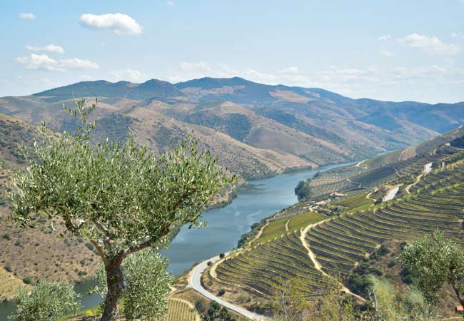 Douro Superior Vale do Côa River Valley