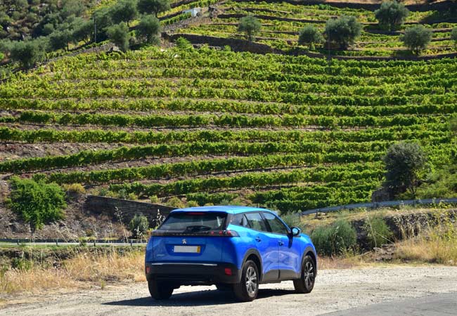 La Valle del Douro in auto